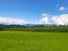 Annonce Vente Terrain Bidache