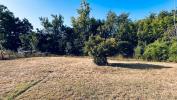 House BRAUD-ET-SAINT-LOUIS 