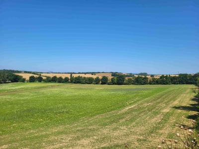 photo For sale Land CARAMAN 31