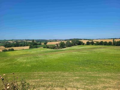 Vente Terrain ALBIAC 31460