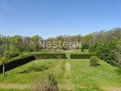 photo For sale Prestigious house COUR-CHEVERNY 41