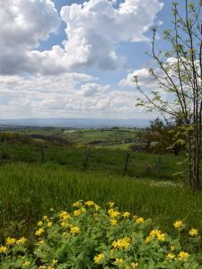 photo For sale Land SAINT-HEAND 42