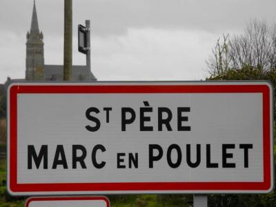 photo For sale Land SAINT-PERE 35