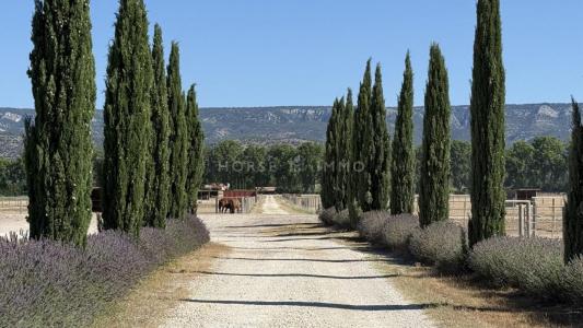 photo For sale House MALLEMORT 13