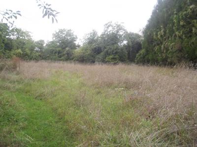 photo For sale Land CHAVANGES 10