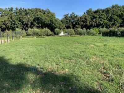 photo For sale Land SAZE 30