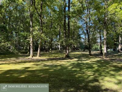 For sale House VIERZON