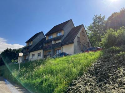 For rent Apartment SAINT-AMARIN  68