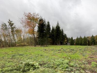 For sale Land CELLES-SUR-DUROLLE  63