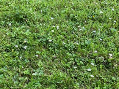 photo For sale Land SAINT-SULIAC 35