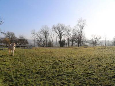Vente Maison CHARBONNAT 