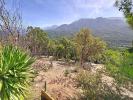 Annonce Vente Terrain Tavaco