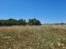 Land ODARS 