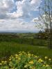 Land SAINT-HEAND 