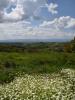 Land SAINT-HEAND 