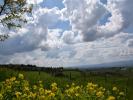 Land SAINT-HEAND 