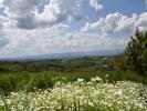 Land SAINT-HEAND 