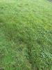Vente Terrain Saint-malo 35