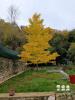 Louer Maison Marcillac-lanville Charente