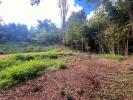 Annonce Vente Terrain Chaponost