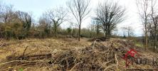 Vente Terrain Soignolles-en-brie 77