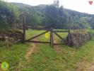 Acheter Maison Murat 243800 euros