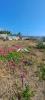 Vente Terrain Trois-bassins 974