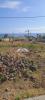 Vente Terrain Trois-bassins 974