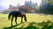Prestigious house CONTAMINE-SUR-ARVE 