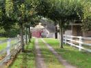 For sale House Charbonnat  71320 258 m2 7 rooms