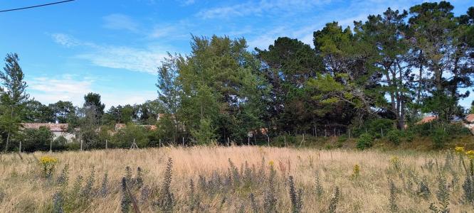 For sale House SAINT-JEAN-DE-MONTS 