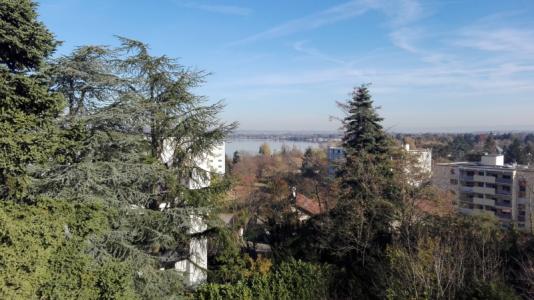 Location Appartement 3 pices DECINES-CHARPIEU 69150