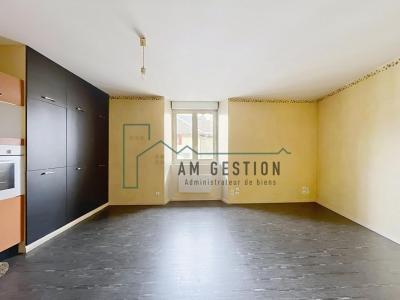 photo For rent Apartment AIXE-SUR-VIENNE 87
