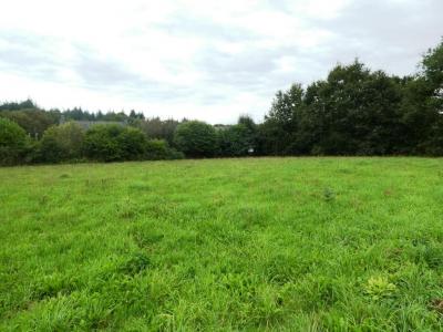 photo For sale Land PERSQUEN 56