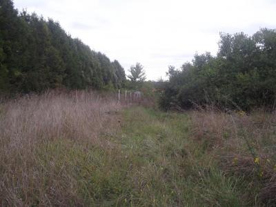 photo For sale Land CHAVANGES 10