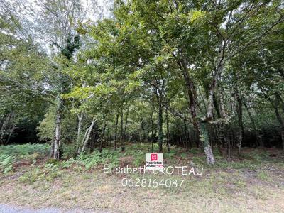 photo For sale Land SANGUINET 40