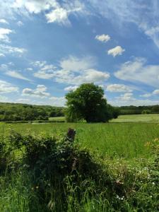 photo For sale Land ROUY 58