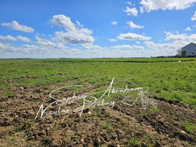 photo For sale Land ANGERVILLE 91