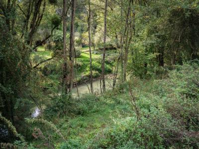 Vente Terrain CHATEAU-PORCIEN 08360