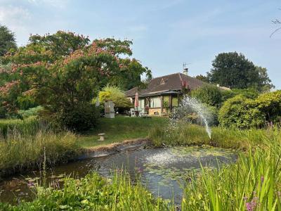 photo For sale House REMALARD 61