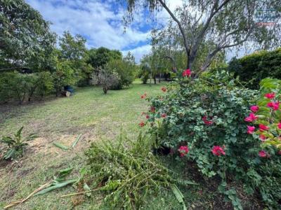 photo For sale Land RAVINE-DES-CABRIS 974