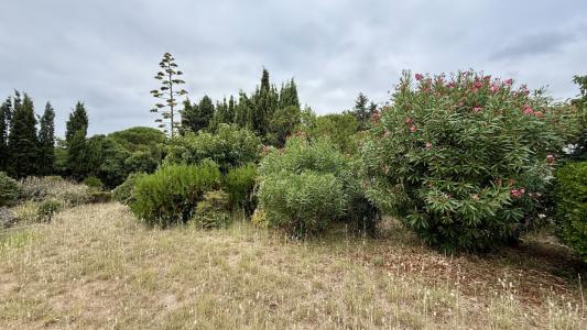 photo For sale Land PEZENAS 34
