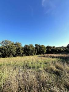 photo For sale Land SAINT-BENEZET 30