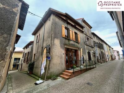 photo For sale House CARLA-BAYLE 09