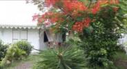 Acheter Maison Sainte-anne Martinique