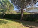 House IZON 