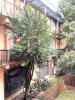 Apartment TOULOUSE 