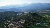 Annonce Vente Prestige Sotta