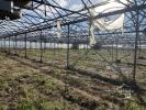 For sale Land Longueville  47200 32767 m2