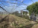 Acheter Terrain 32767 m2 Longueville